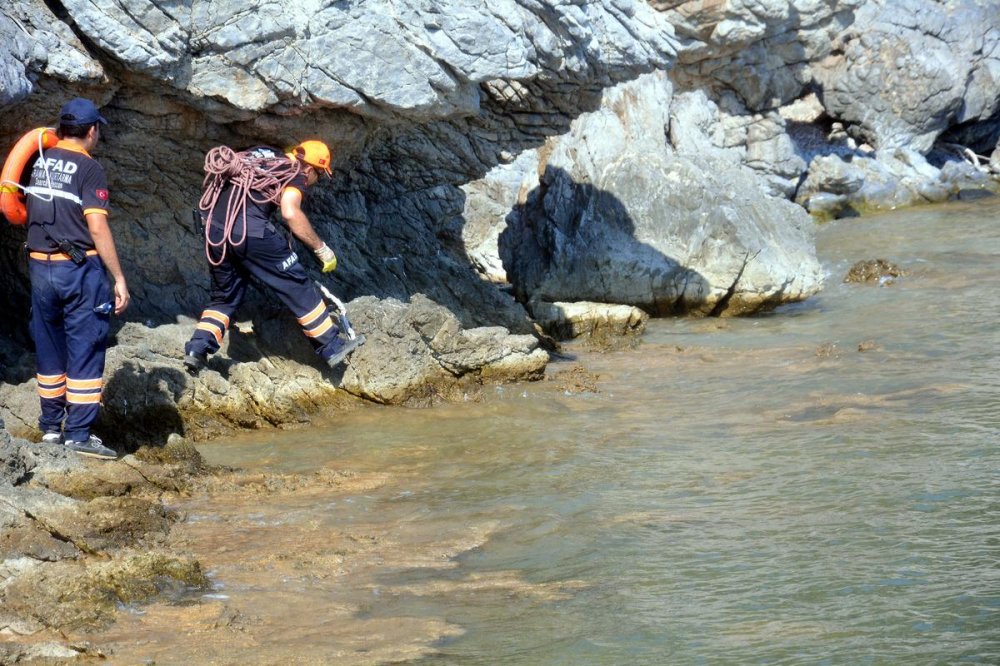 SISME BOT ICIN CANINDAN OLDU